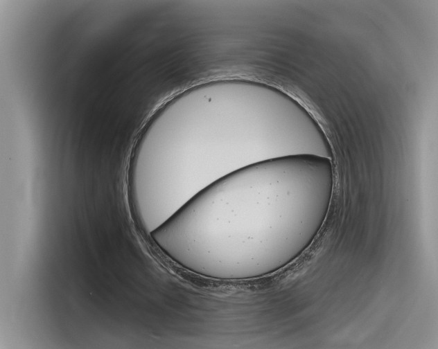 X0000115790434200911131029