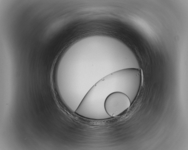 X0000115790435200911131029