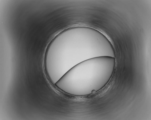 X0000115790437200911131029