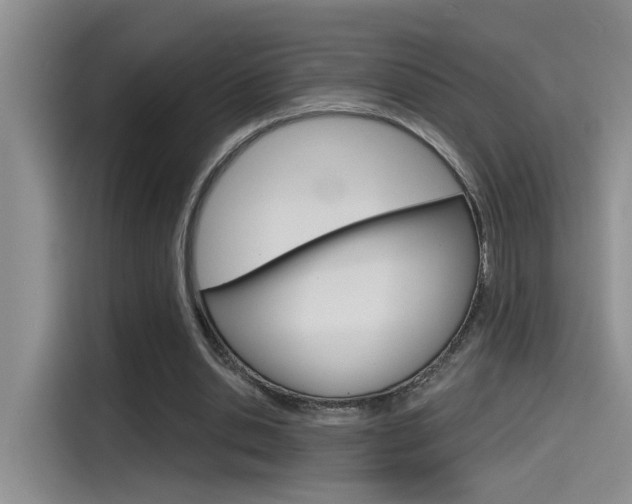 X0000115790438200911131029