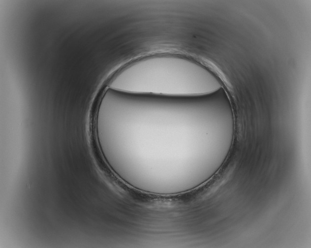 X0000115790439200911131029