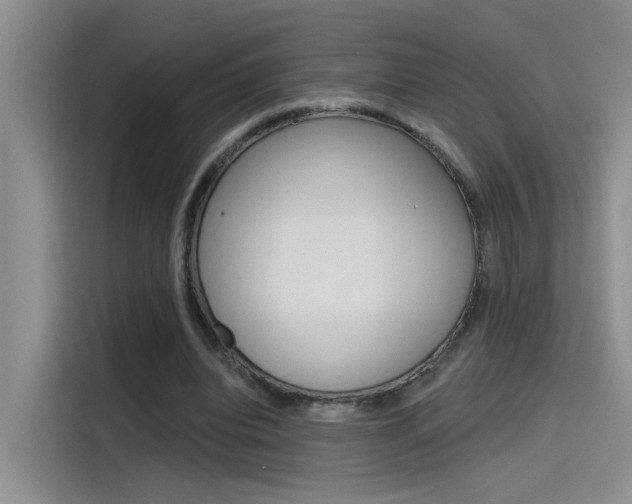 X0000115790440200911131029
