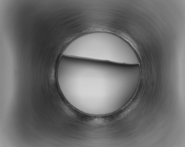 X0000115790441200911131029