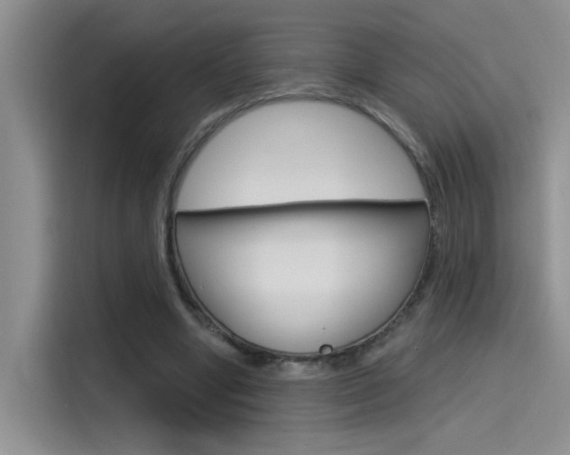 X0000115790442200911131029
