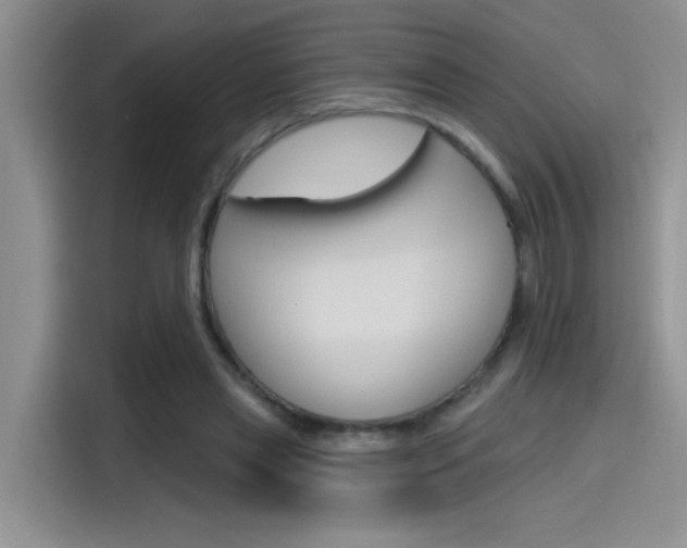 X0000115790445200911131029