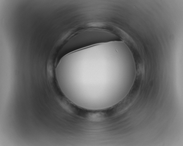 X0000115790452200911131030