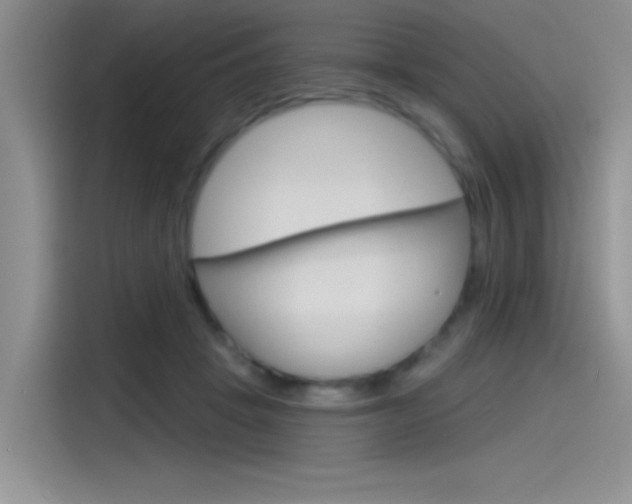X0000115790457200911131030
