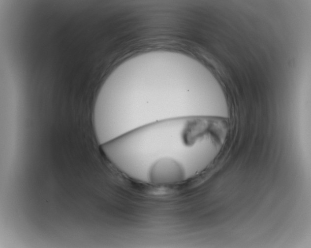 X0000115790467200911131030