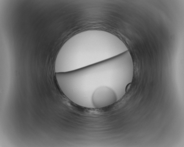 X0000115790475200911131030