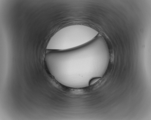 X0000115790476200911131030