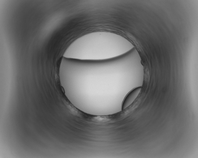 X0000115790477200911131030