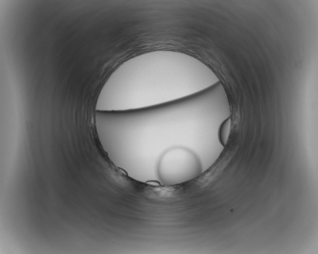 X0000115790478200911131030