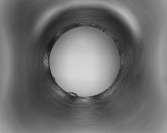 X0000115790479200911131030
