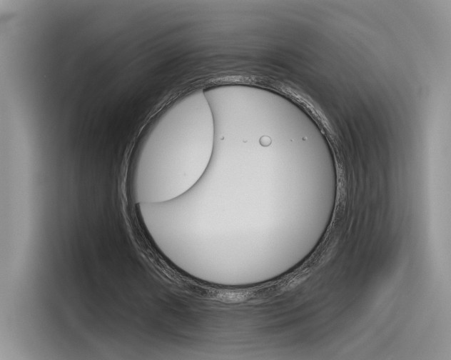 X0000115790482200911131029