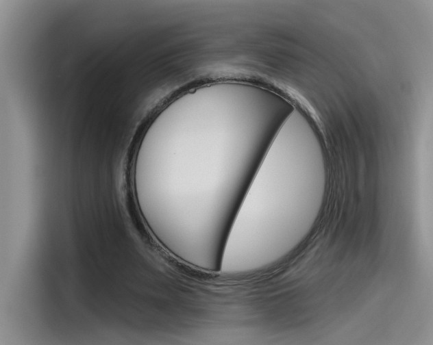 X0000115790487200911131029