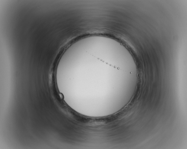X0000115790491200911131029