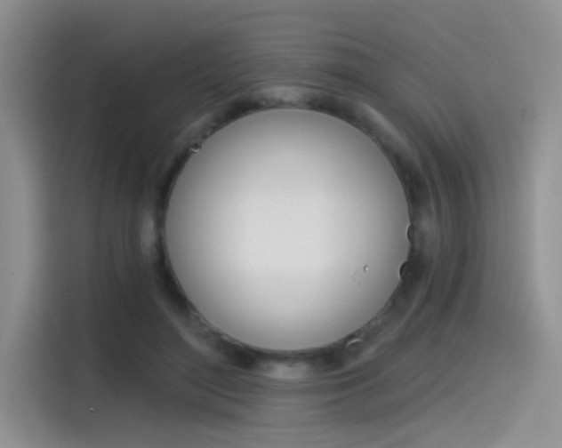 X0000115790500200911131029