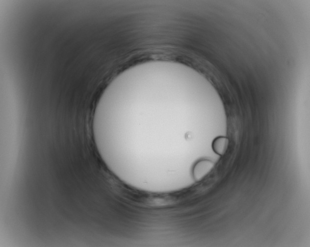 X0000115790510200911131029