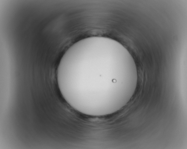 X0000115790511200911131029