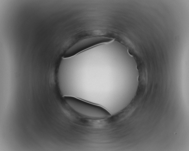 X0000115790512200911131029