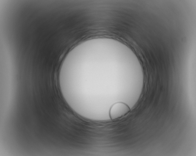 X0000115790516200911131029