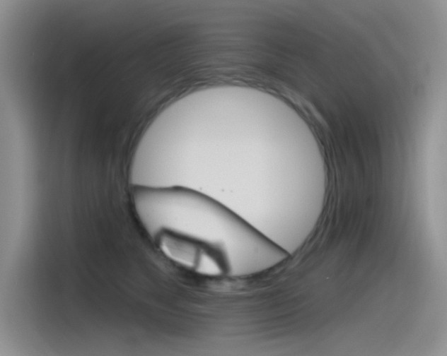 X0000115790517200911131029