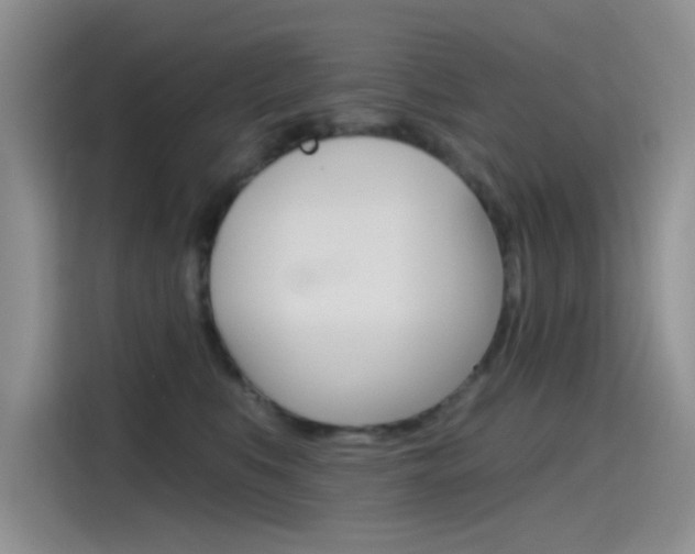 X0000115790519200911131029