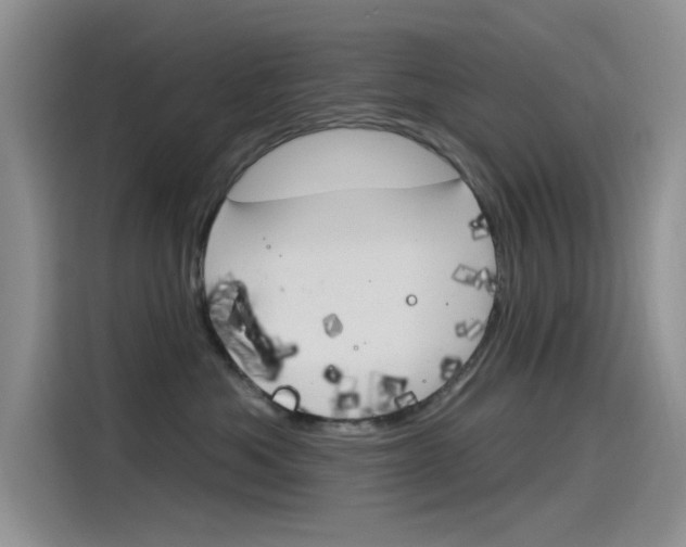 X0000115790525200911131029