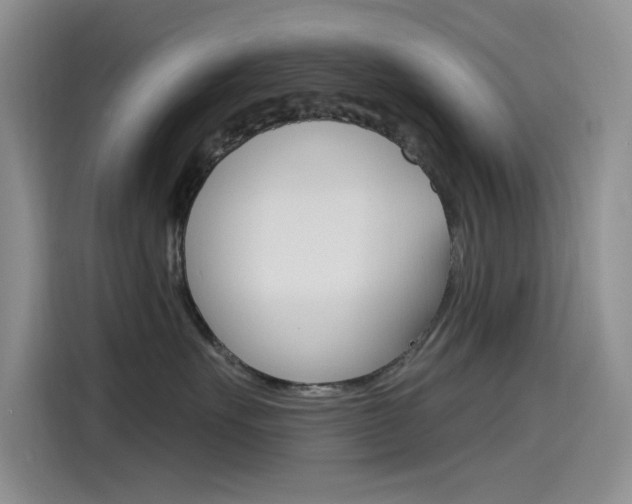 X0000115790527200911131029