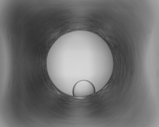 X0000115790528200911131029