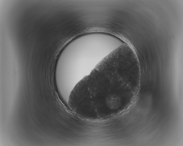 X0000115790529200911131028