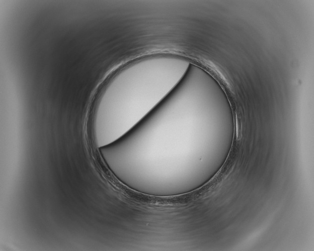 X0000115790531200911131028