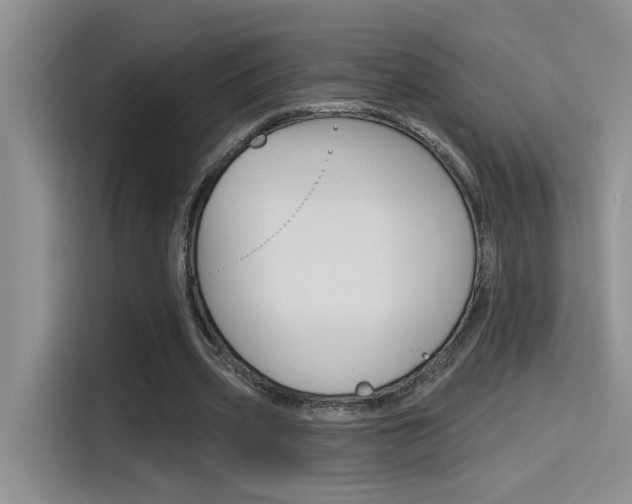 X0000115790533200911131028