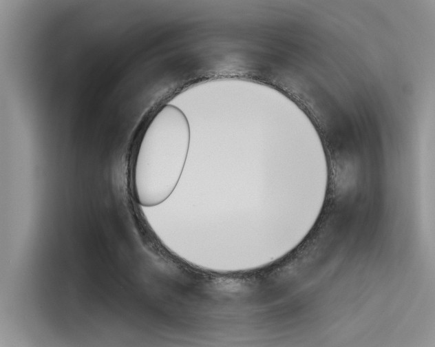 X0000115790534200911131028