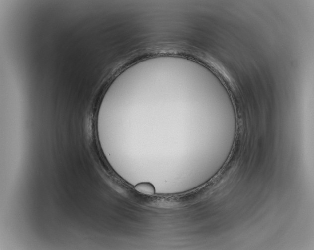 X0000115790537200911131028