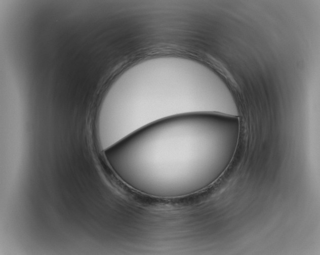 X0000115790538200911131028