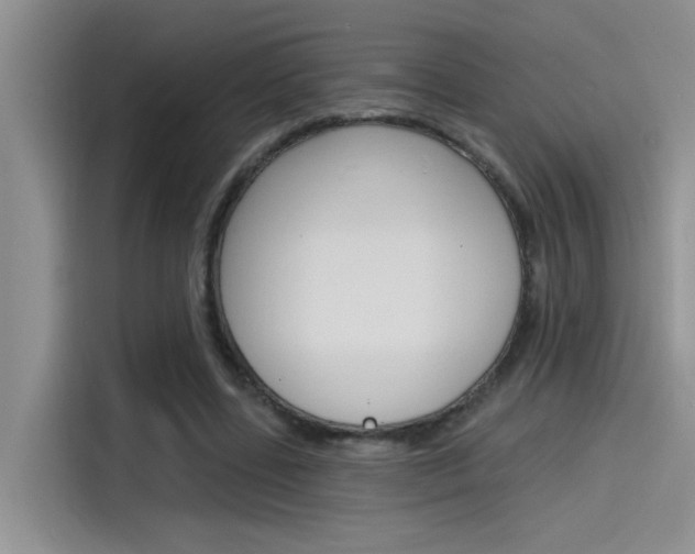 X0000115790539200911131028