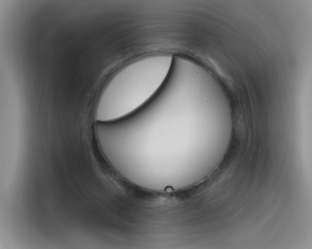 X0000115790543200911131028