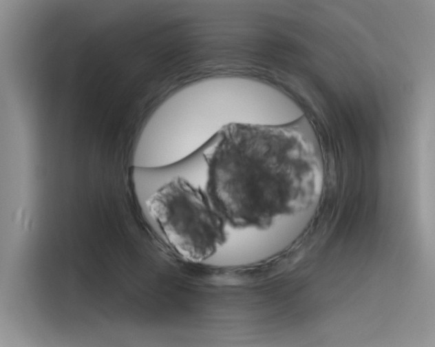 X0000115790545200911131028