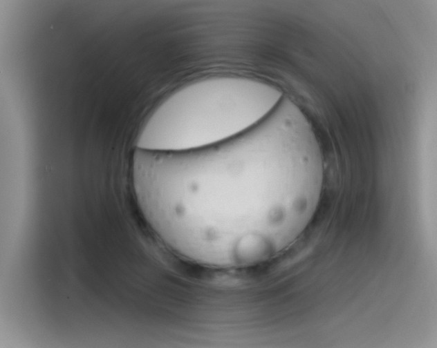 X0000115790550200911131028