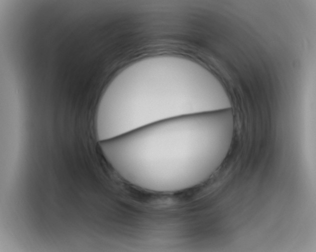 X0000115790551200911131028