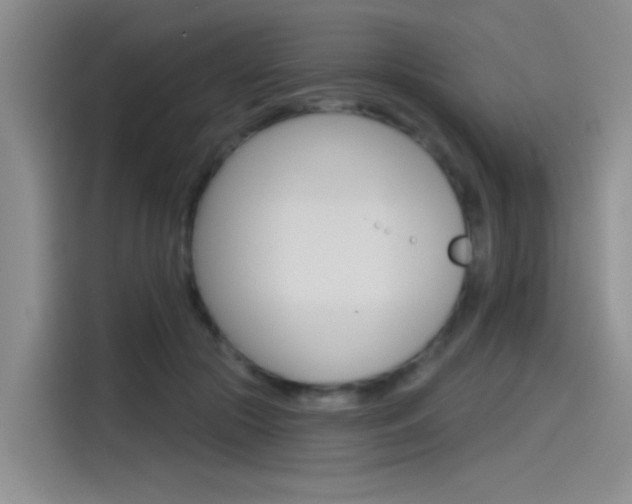 X0000115790553200911131028