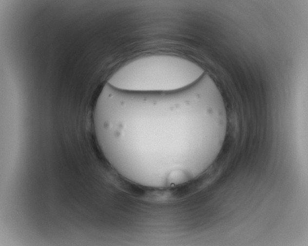 X0000115790554200911131028