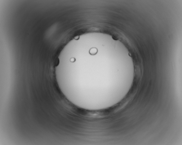 X0000115790557200911131028