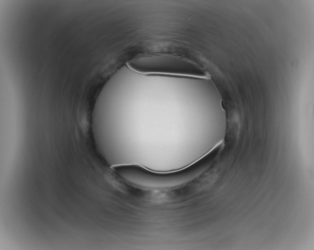 X0000115790566200911131029