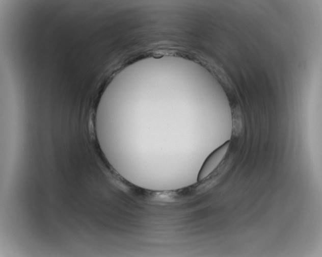 X0000115790573200911131029