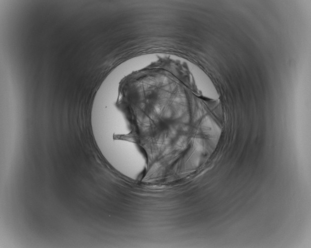 X0000115790575200911131029
