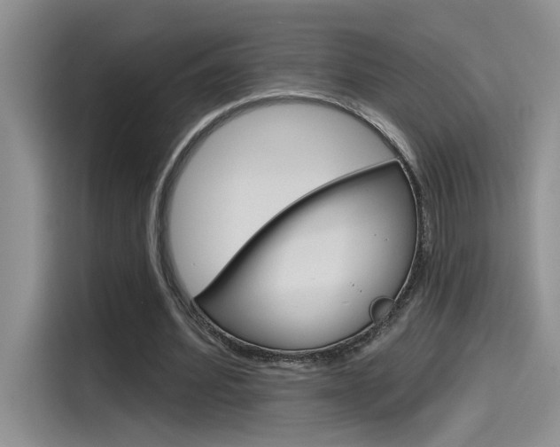 X0000115790580200911131028