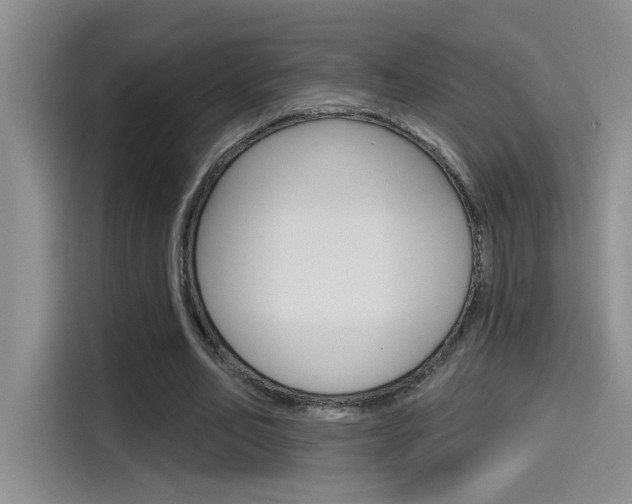 X0000115790582200911131028