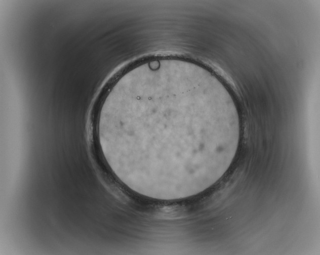 X0000115790584200911131028